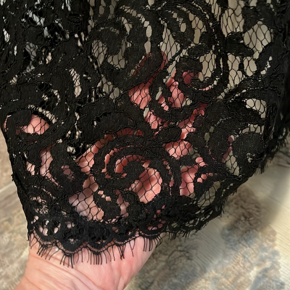 Tadashi Shoji Chantilly Lace Gown - Picture 9 of 15